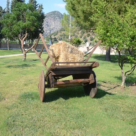 Oasis Apart Hotel Dalyan Extérieur photo
